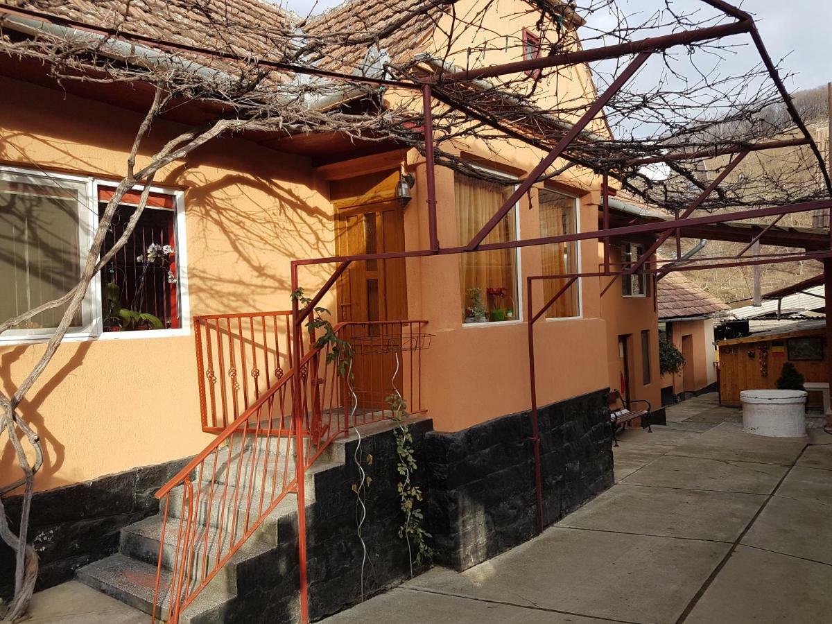 Casa De Oaspeti Morii 22 Malancrav Экстерьер фото